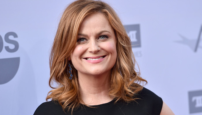 Amy Poehler Actress Pictures