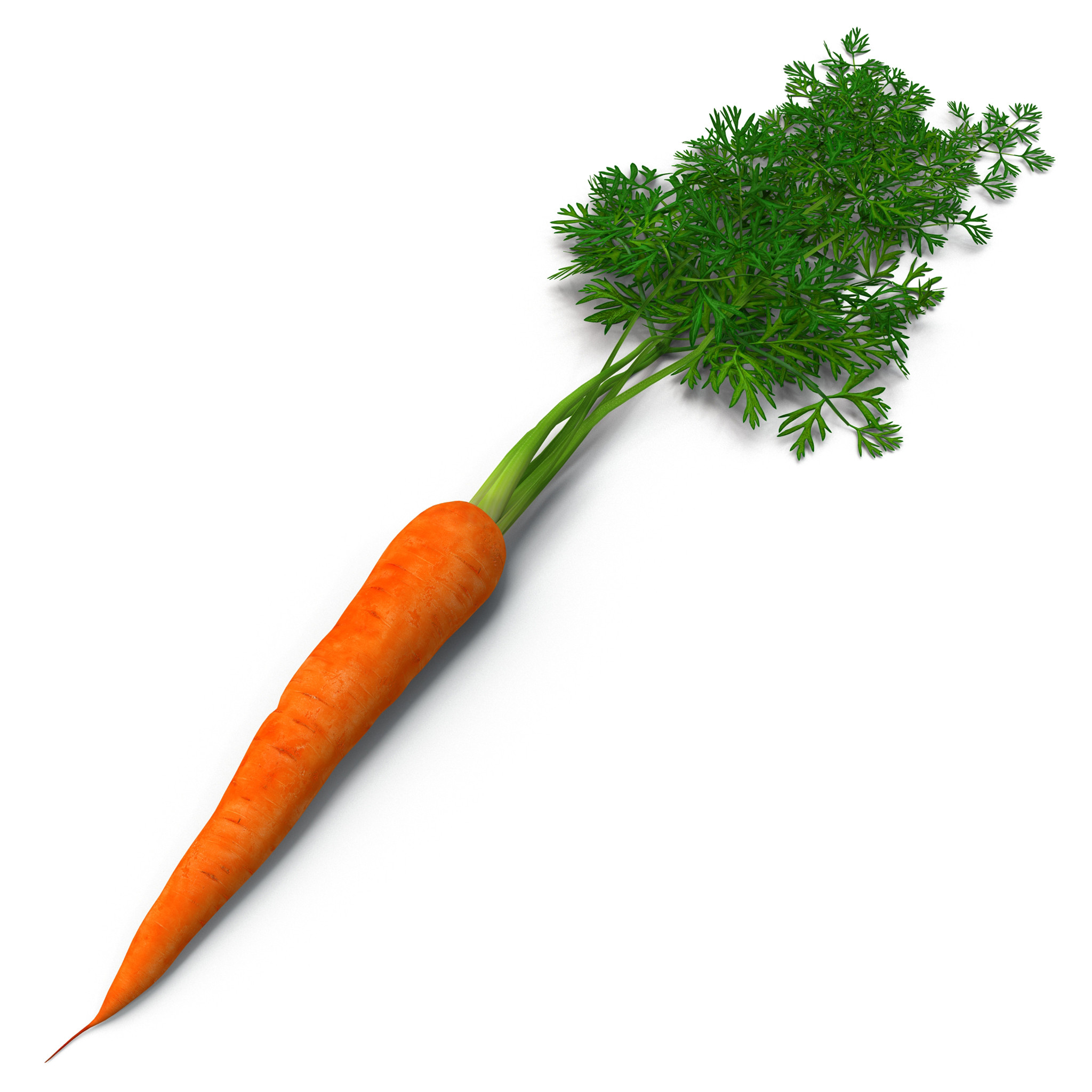 Carrot Vegetable Wallpaper