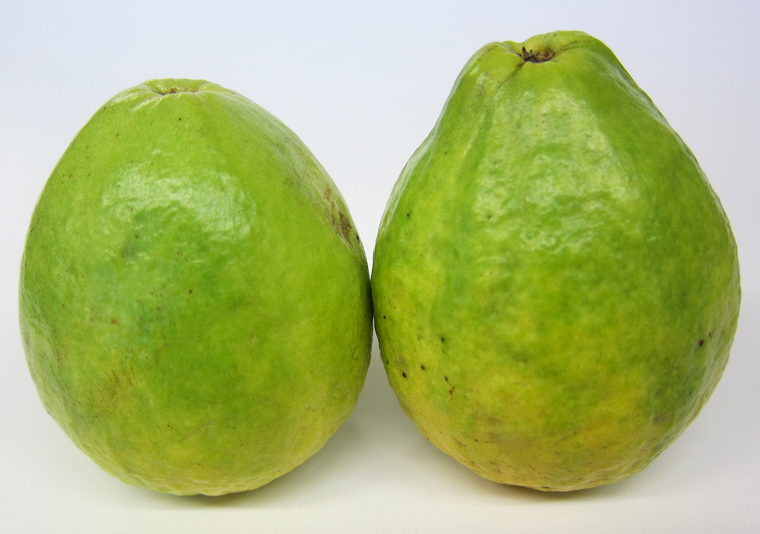 Two Guava Photos