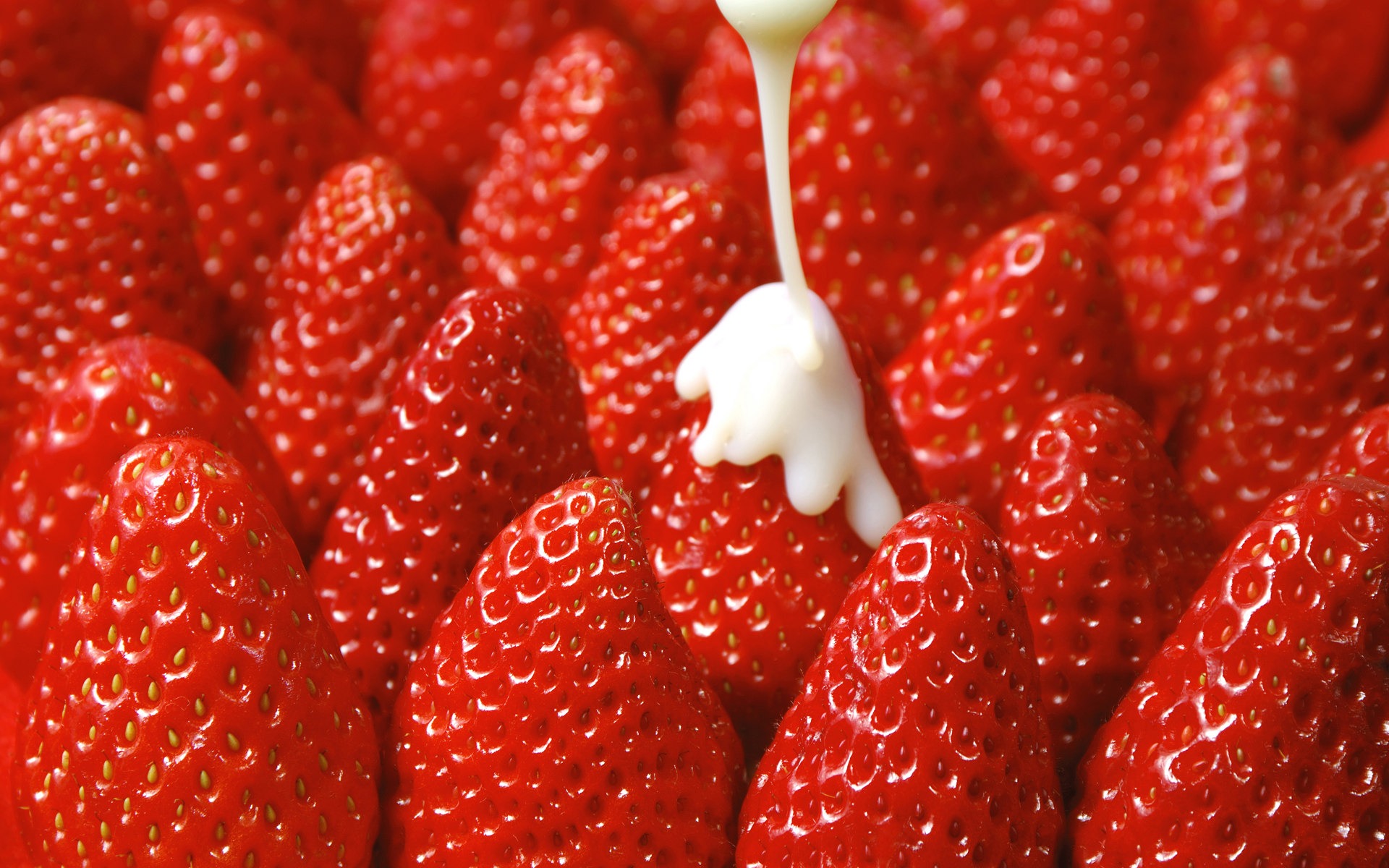 Many Strawberry Fruit Pictures