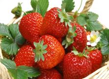 strawberry pictures