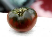black tomatoes pictures