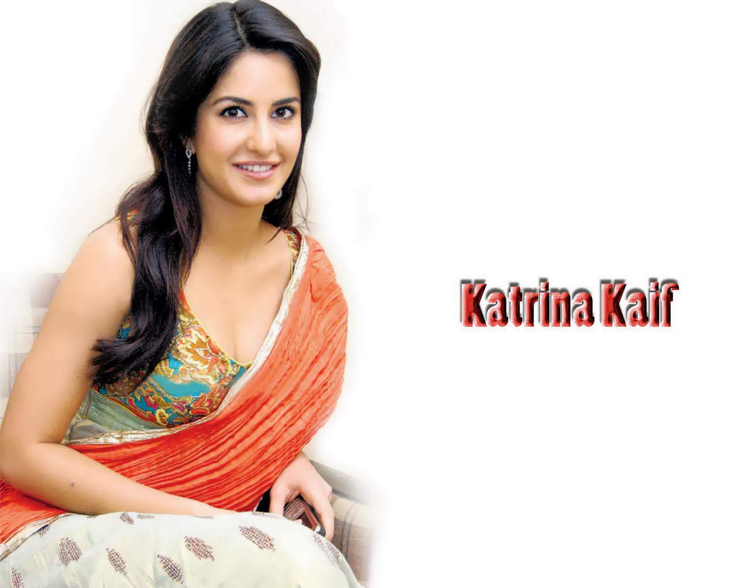 Katrina Kaif Hot Orange Saree Pictures