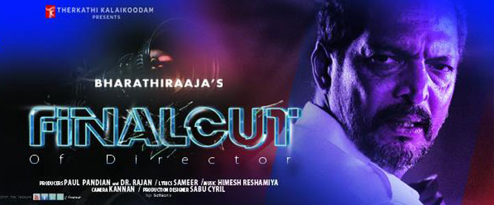 Final Cut Of Director Movie Poster