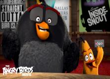 The angry birds film pictures