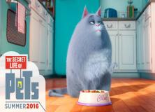 the secret life of pets film pictures