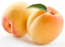 apricot fruit pictures