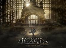fantastic beasts and where to find them pictures