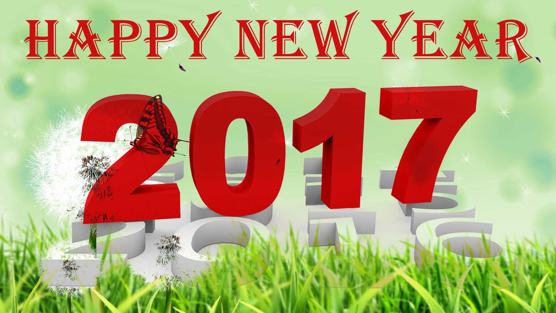 2017 Happy New Year Pictures