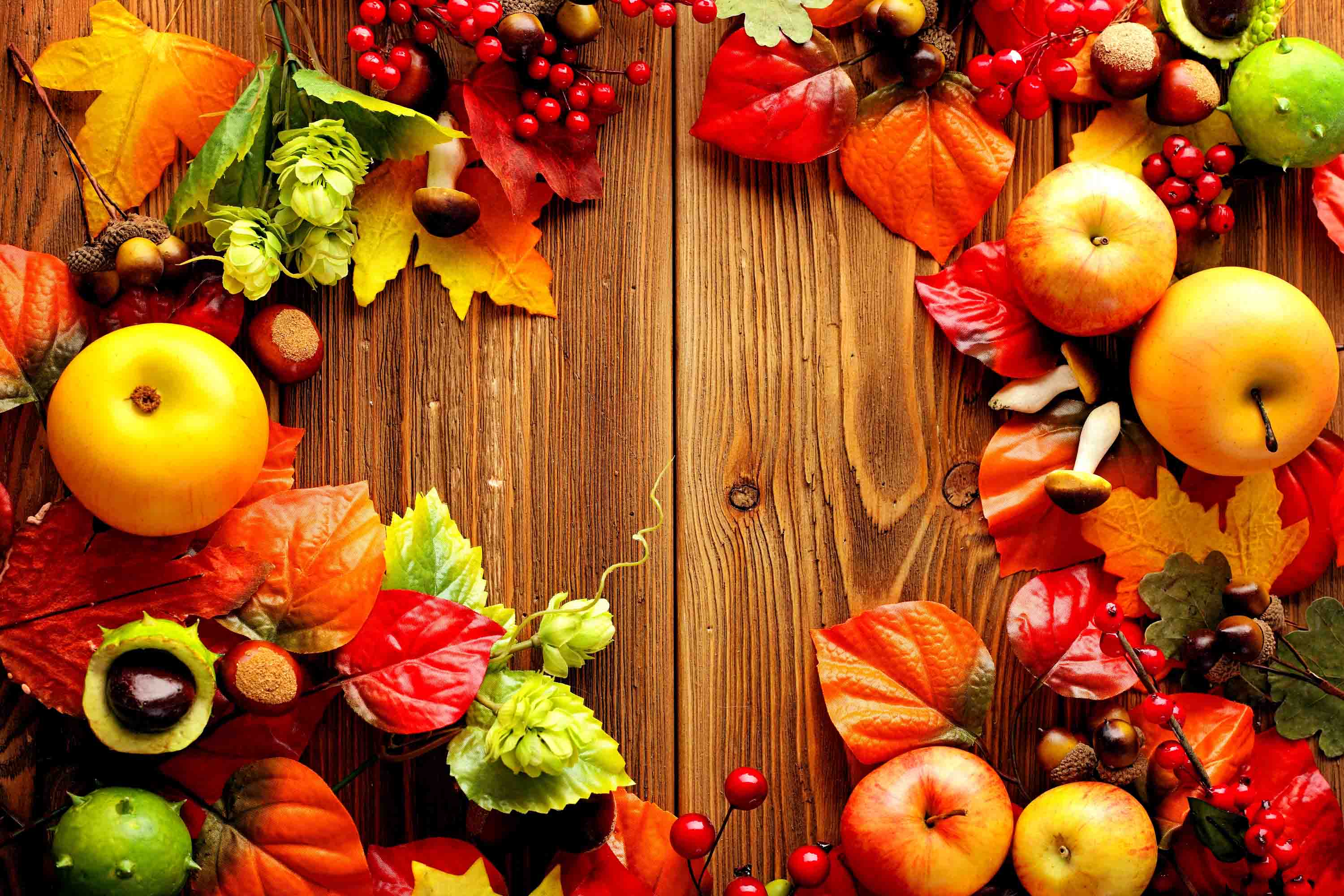 Thanksgiving Day Wallpapers