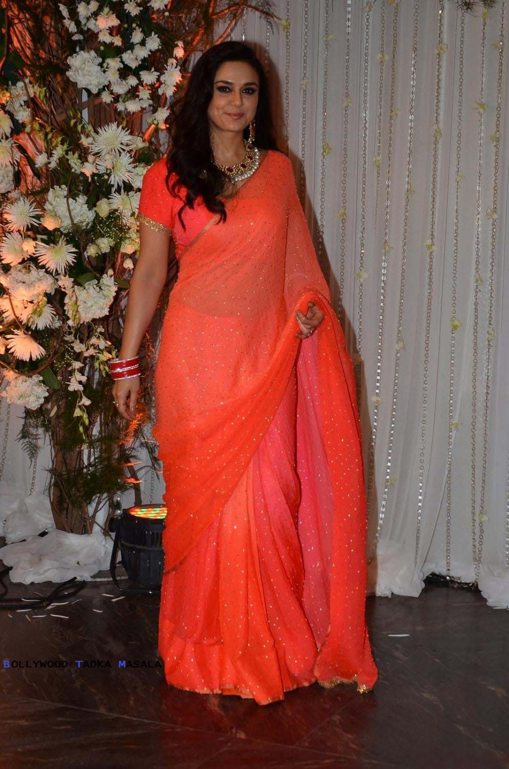 Preity Zinta Saree Photos