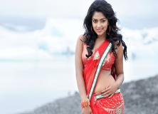 amala paul red saree pictures