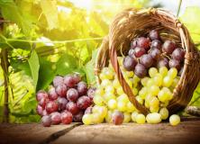 grapes fruit pictures