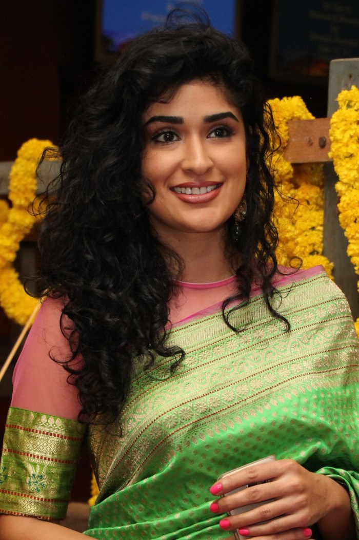 Anjala Zaveri Saree Photos