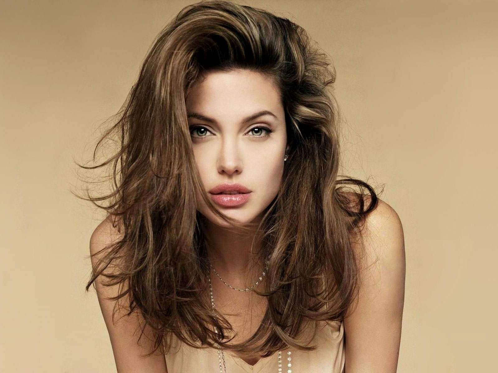 Angelina Jolie Wide Fotos