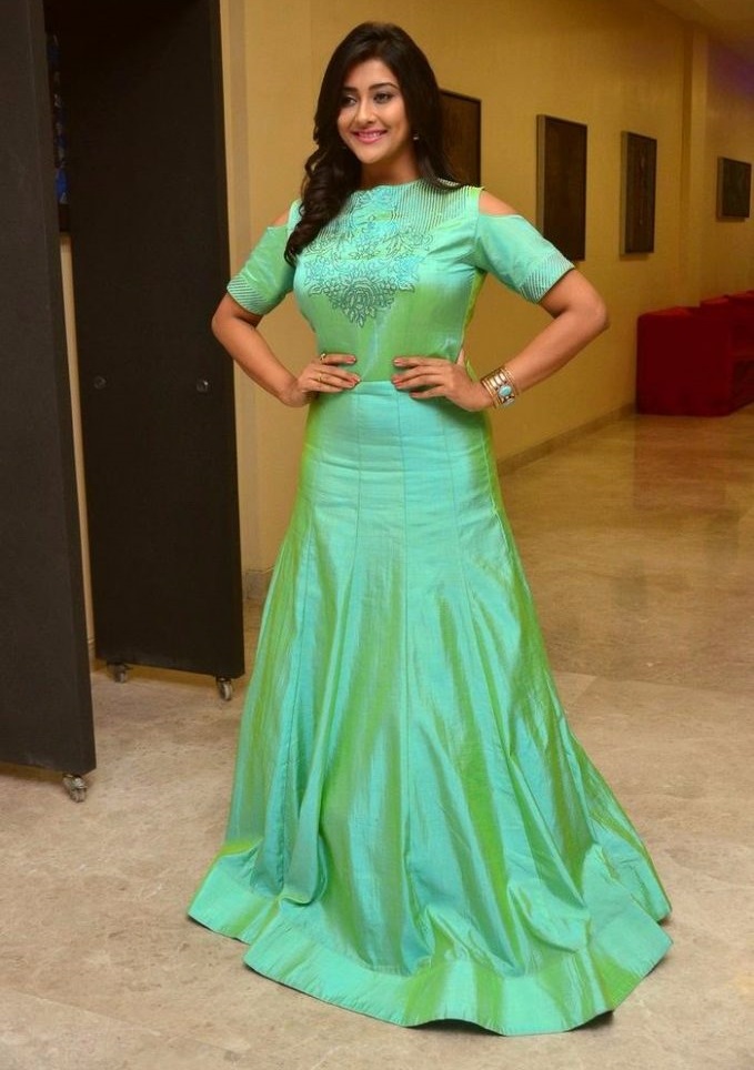 Pooja Jhaveri Green Dress Desktop Pictures