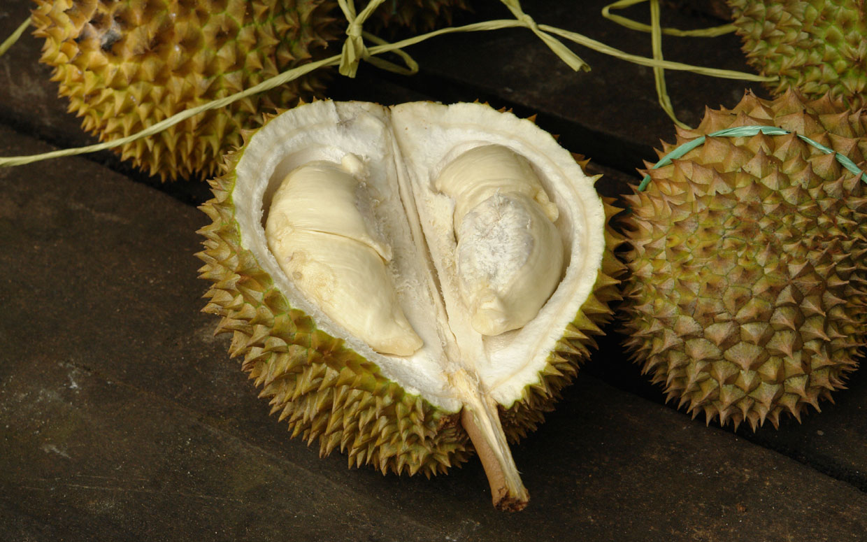 Durian fruit hd image