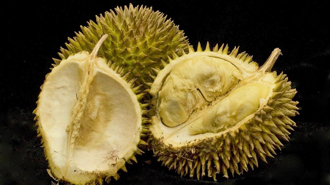 Durian Fruit Pic