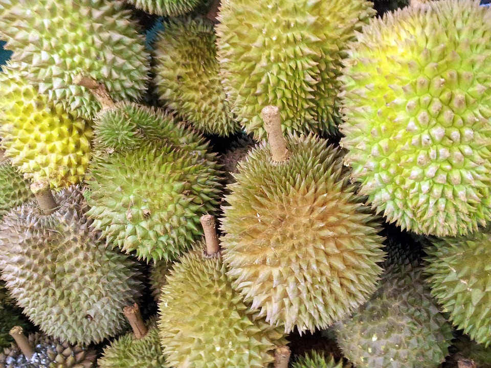 Durian fruit wallpaper fotos