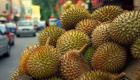 Durian fruit wallpaper