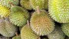 Durian fruit photo