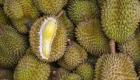 Durian fruit slideshow