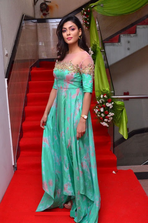 Anisha Ambrose Green Dress Hd Photos