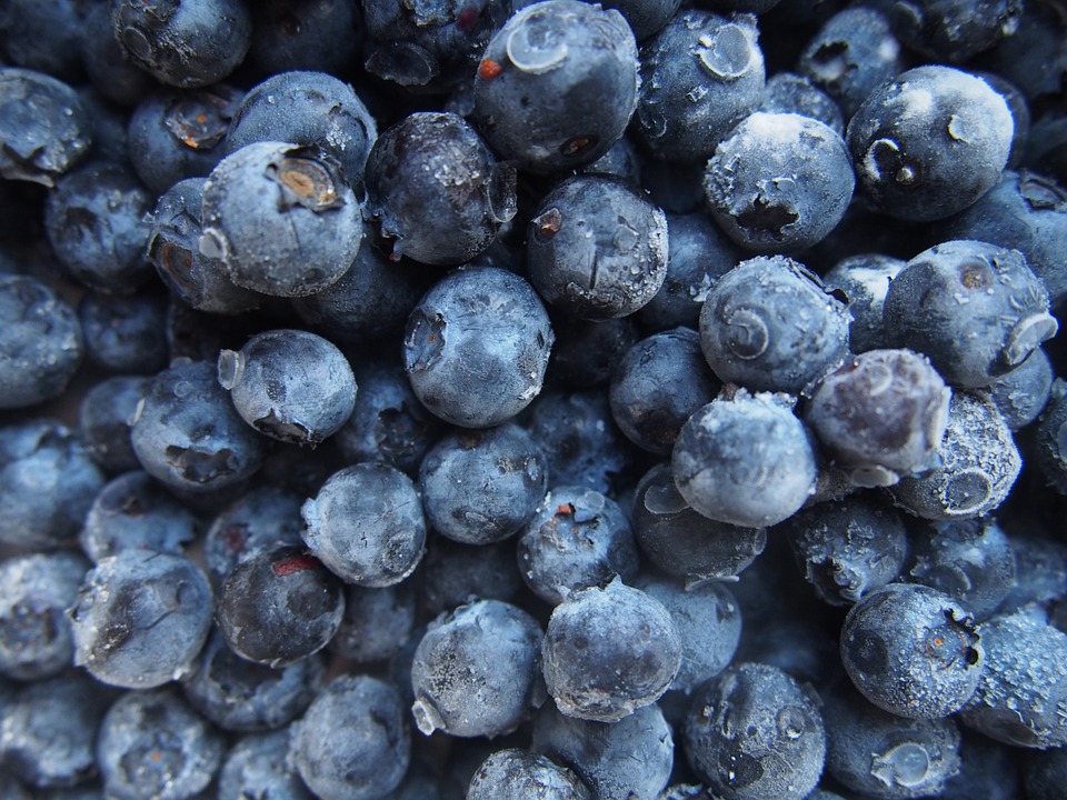 Many Blueberry Fruit Photos