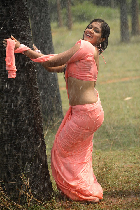 Meghna Raj Pink Saree Hot Image