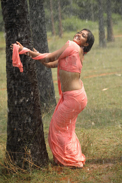 Meghna Raj Pink Saree Hot Photos