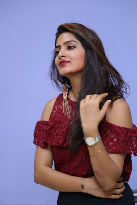 Pavani Gangireddy Red Dress Photoshoot Pics