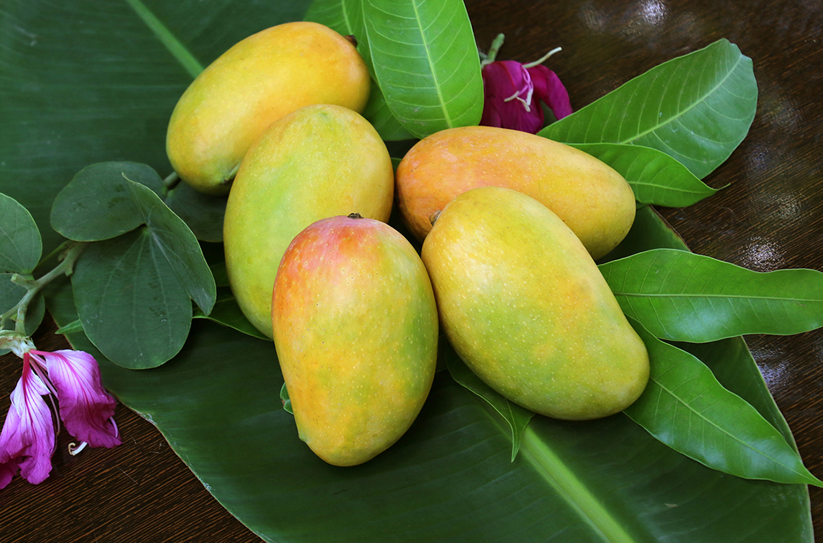 Sweet Mango Picture