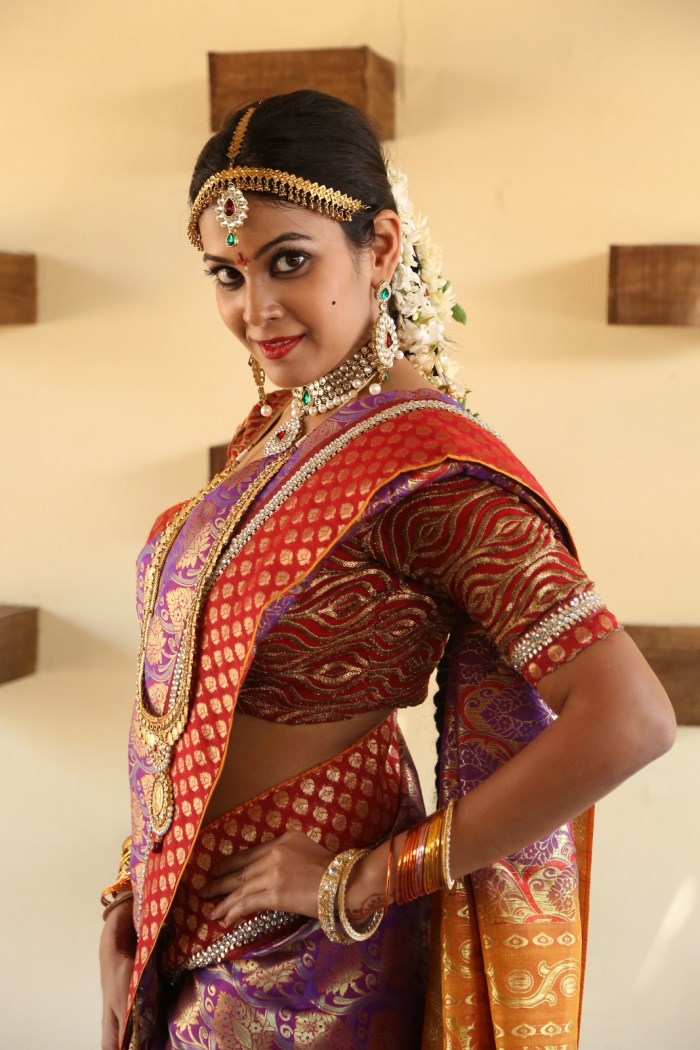 Chandini Tamilarasan In Silk Saree