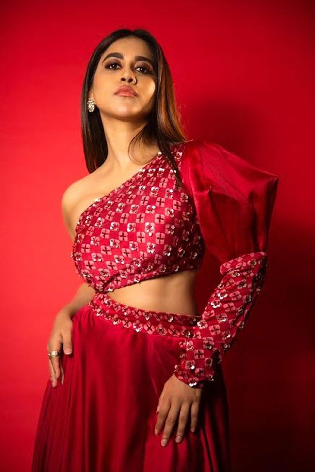 Nabha Natesh In Red Dress Pics