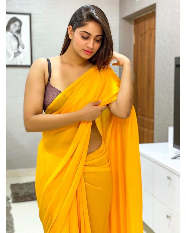 Shivani Narayanan Gorgeous Yellow Saree Pics