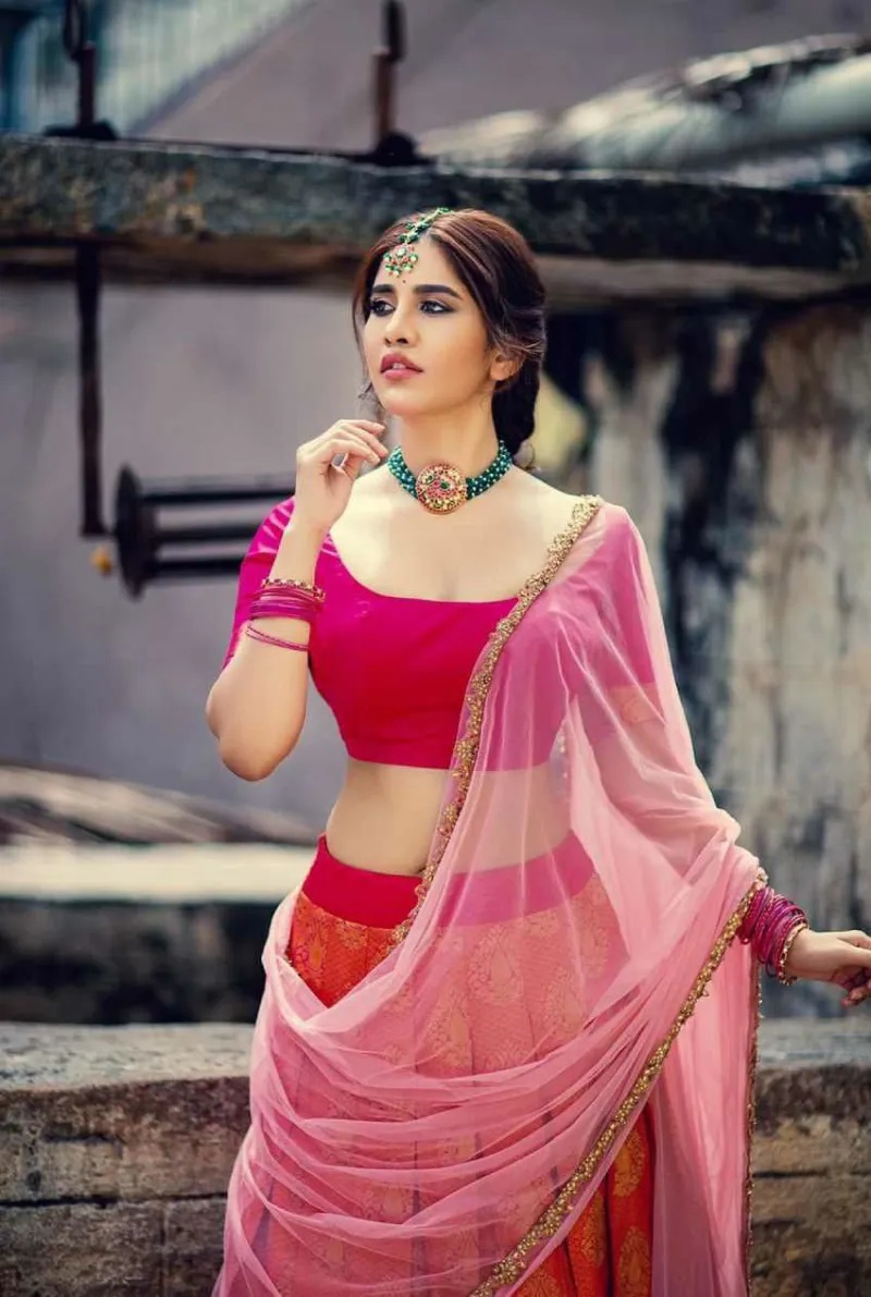 South Actress Nabha Natesh Cute Images