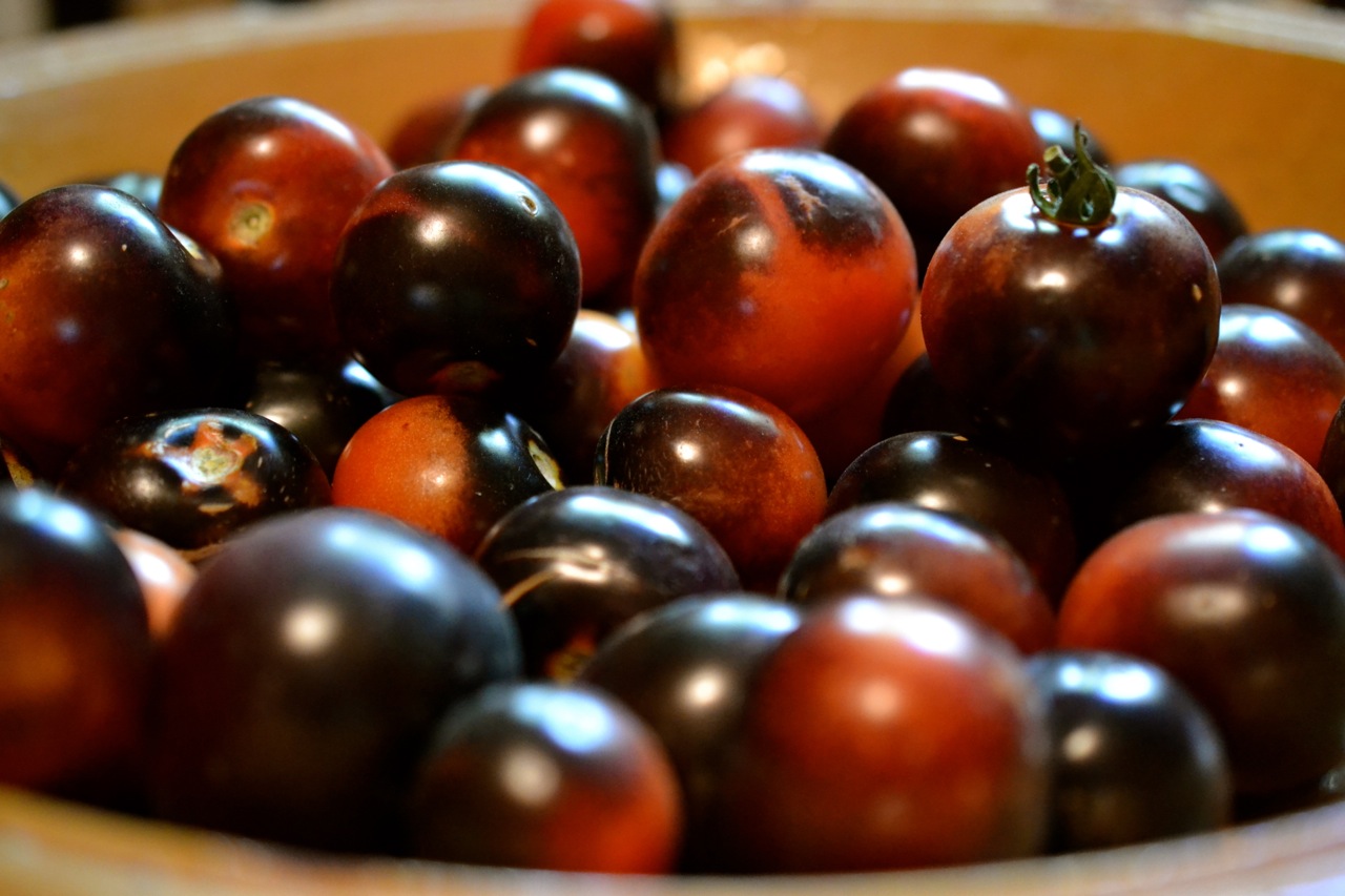 Many Black Tomatoes Image