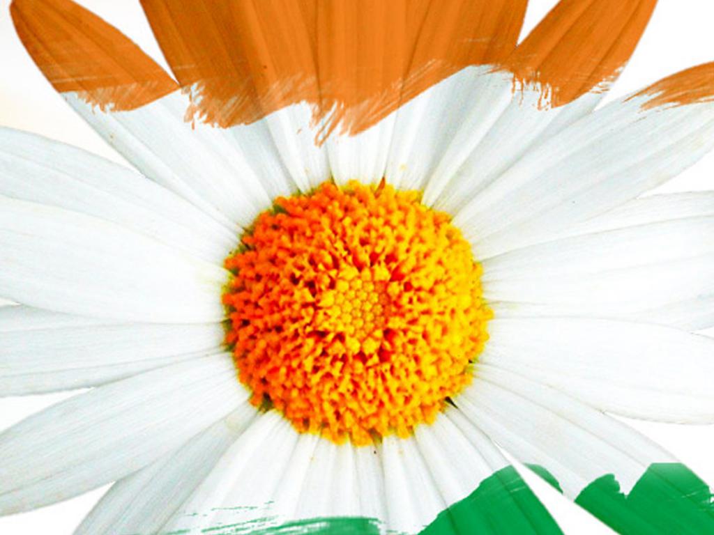 Flower Independence Day Images