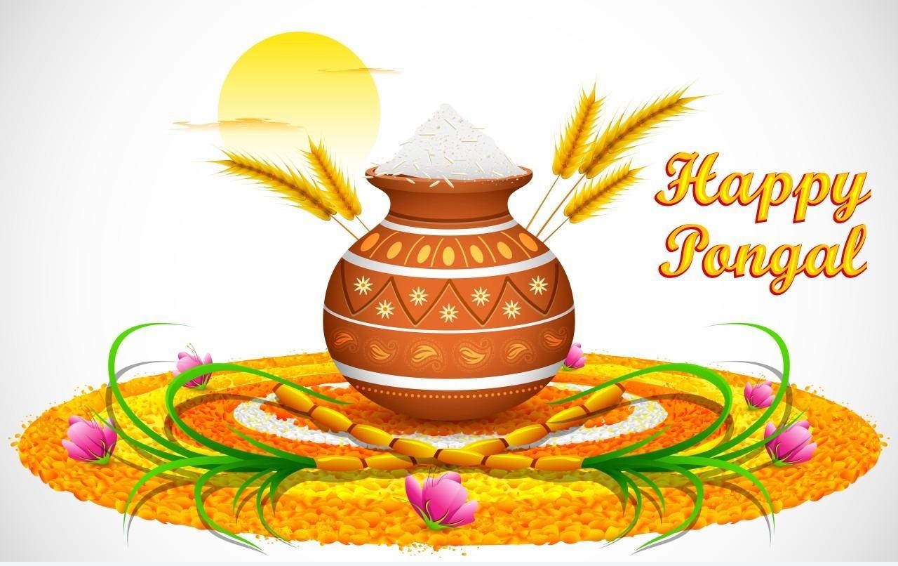 Pongal Festival Wallpapers