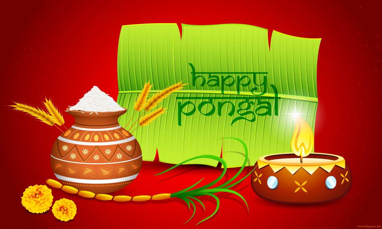 India Festival Thai Pongal Wallpapers