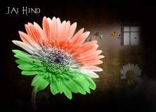india independence day wallpapers