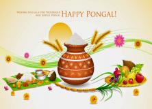 pongal festival wallpapers