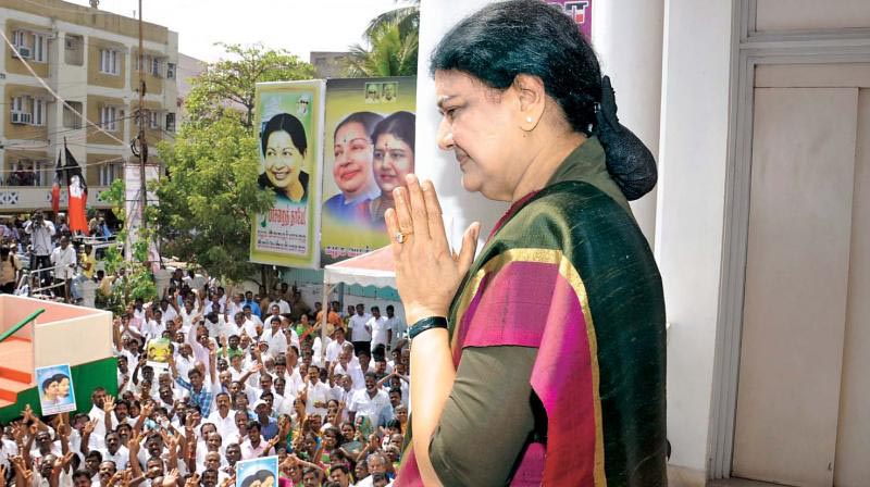 Sasikala Side View Pictures