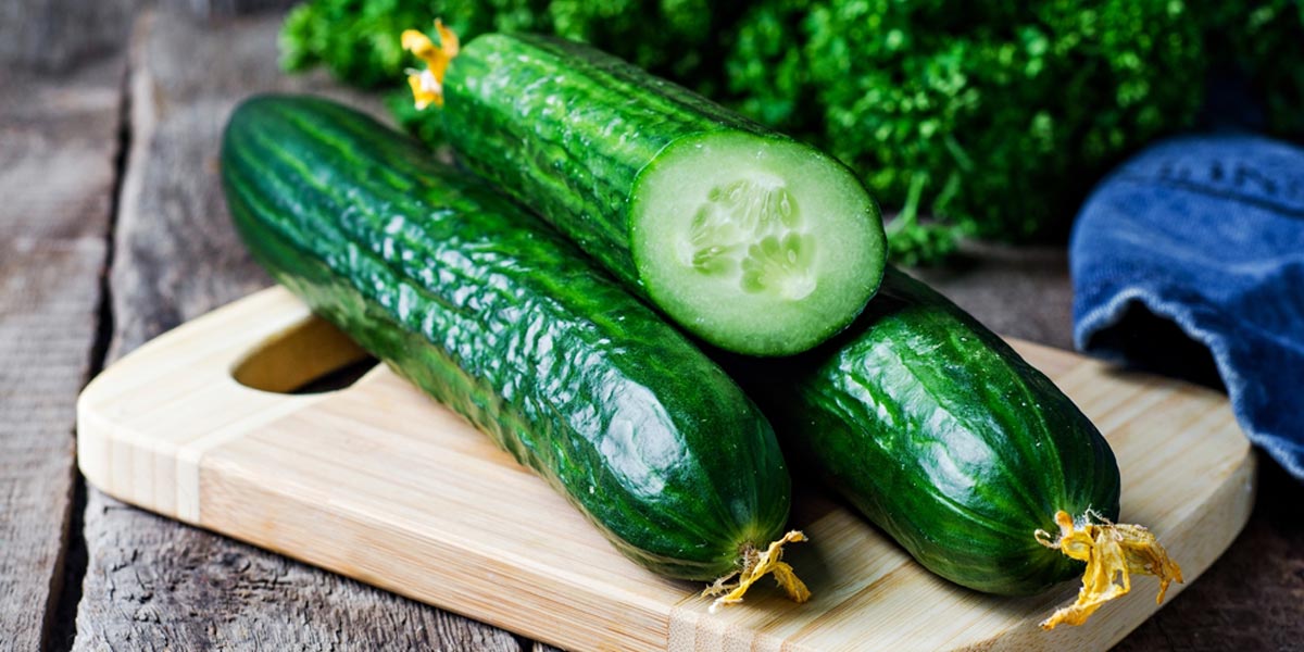 Cucumber Hd Pictures