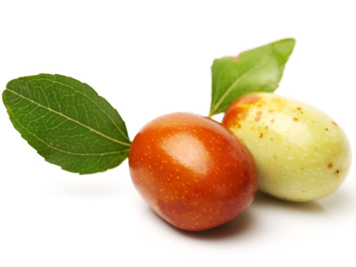 Indian Jujube Pictures