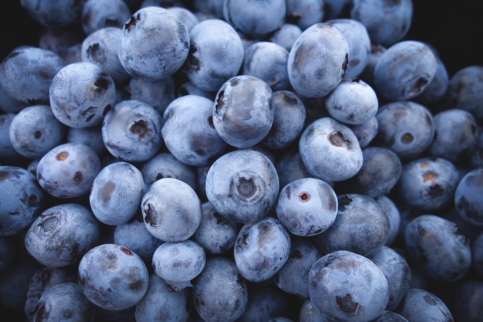 Many Blueberry Fruit Fotos