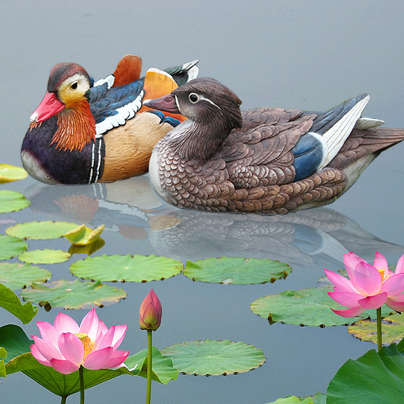 Couple Mandarin Ducks